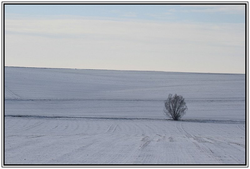 JMS-minimalistes (1).jpg